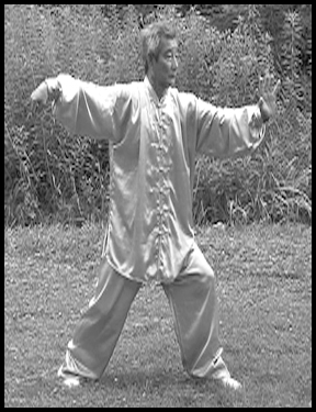 Master Yu Xiaolin_Banhou