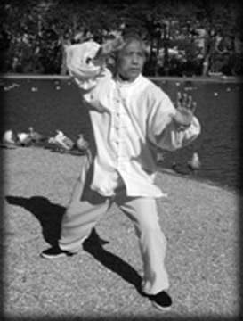 lu_yang